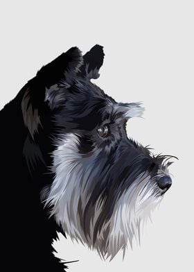 Schnauzer dog in vector