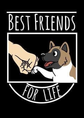 Akita Best Friends 