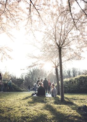 Spring Under a Tree