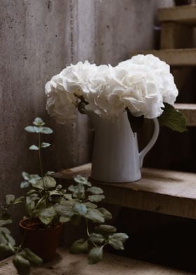 Floral in black and white