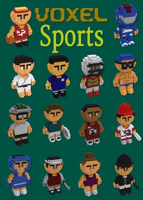 Voxel sports characters