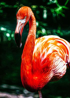 Flamingo