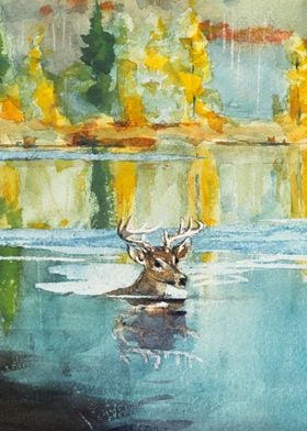 Deer Crossing a River