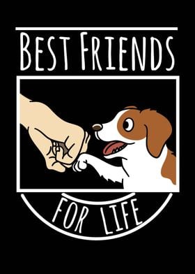 Brittany Dog Best Friends