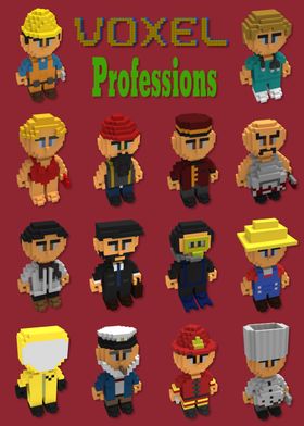 Voxel professions