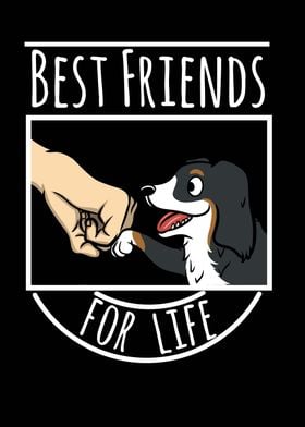 Bernese Dog Best Friends