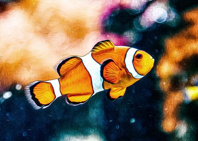 Clownfish