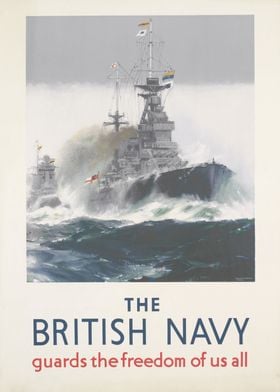 The British Navy