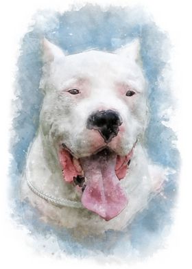 Dogo Argentino watercolor