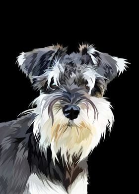 Schnauzer dog in vector