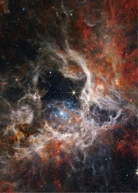 JWST Nebula Tarantula