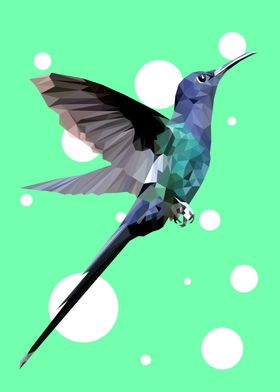 Hummingbird