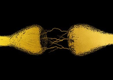 Human nerve cell 