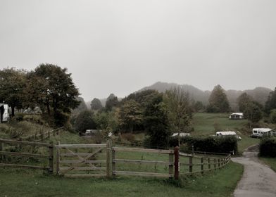 Foggy Countryside Forest