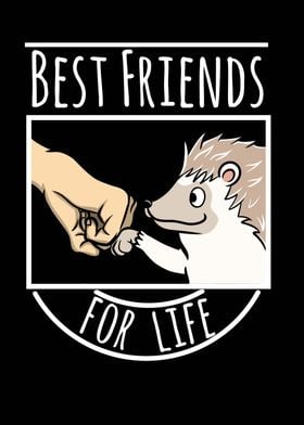 Hedgehog Best Friends 