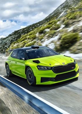 Skoda RS Rally2 in bush