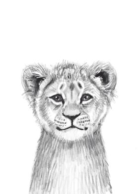 Lion Cub