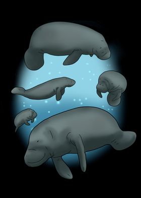 Manatee Gift Floaty Potato