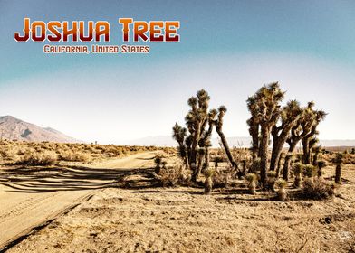 Joshua Tree National Park