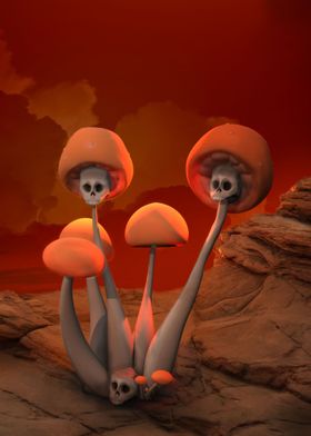 Skull Mushrooms