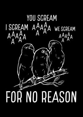 Parrot scream or no reason