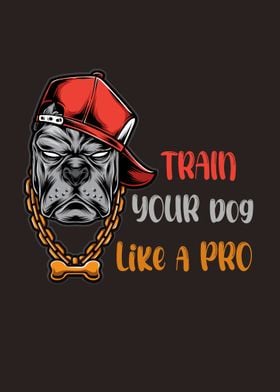 Train Your Dog Like a Pro