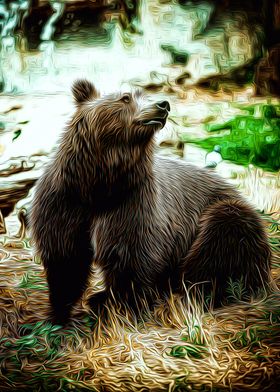 Bear