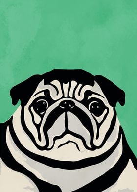 Old Pug Portrait