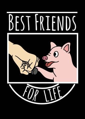 Mini Pig Best Friends 