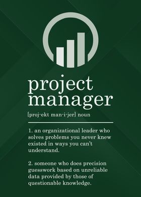 Project Manager Definition