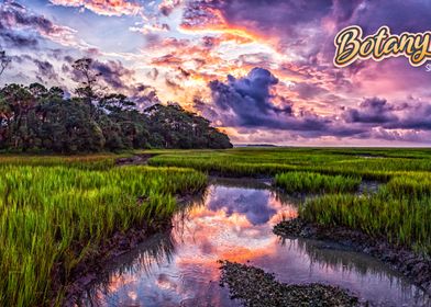 Botany Bay South Carolina