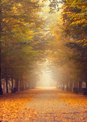 Magical Mornings-preview-3