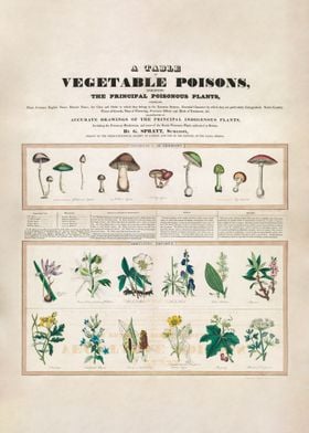 Poisonous mushrooms