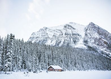 Winter Snow Landscape