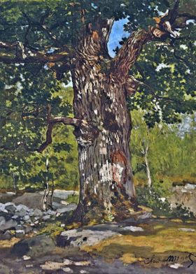 the bodmer oak by Monet