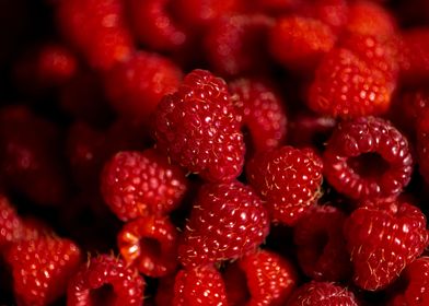 Red raspberries full frame