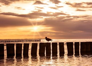 Evening on the coast