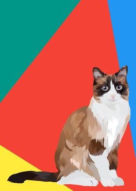 Snowshoe cat in vector