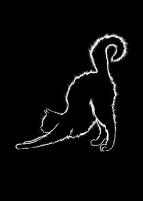 Cats Silhouette Kitten Cat