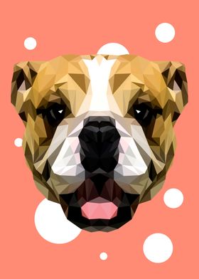 Bulldog