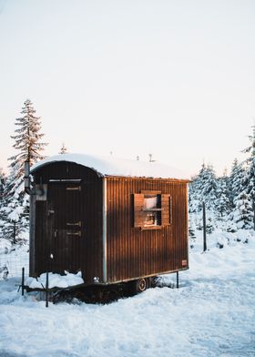 trrailer in a snowy forest