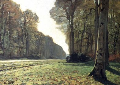 pave de chailly in forest