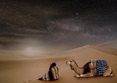 desert in night