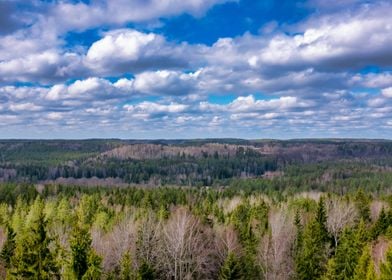 Gauja National Park