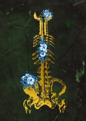 Skeleton Torso 