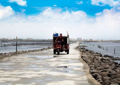 Oyster picker