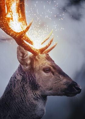Sparkling Deer