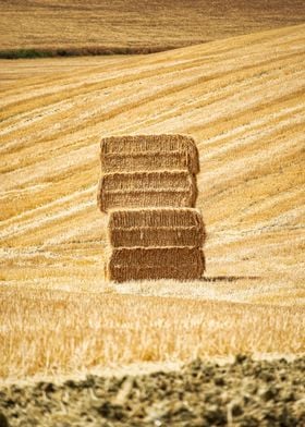 Toscana2022 Hay Bale 1