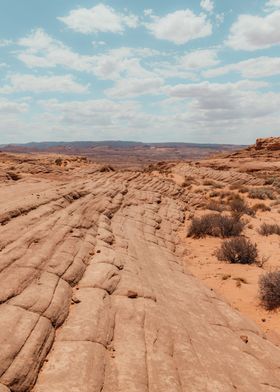 Arizona landscape