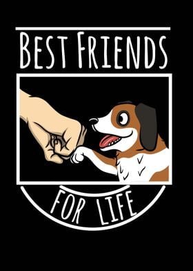 Saint Bernard Friends